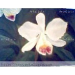 ORQUIDEA BLANCA