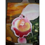 Naturaleza
