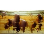ABSTRACTO Nº 501