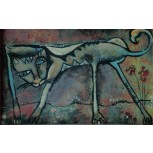 GATO DEL SUR