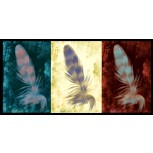 Pop Feathers