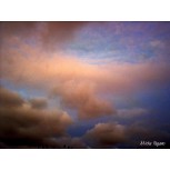 Cielo 15
