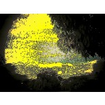 TERRA EN AMARILLO