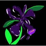 Orquidea #23