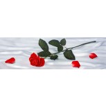 Rosa sobre sábana de seda (PY-2114)