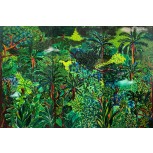 Selva Colombiana