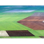 MOSAICO