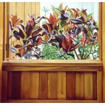 Croton