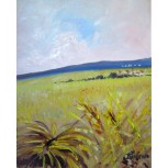 paisaje
