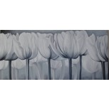 Tulipanes en  Blanco y negro.