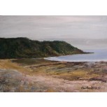 La Ribeigona, Cadavedo