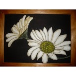 blancas margaritas