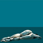 torso 26