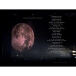THE DARK SIDE OF THE MOON (I PARTE)