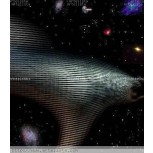 NAVE  DE  UNA  LEJANA  GALAXIA
