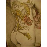 dragon de espalda