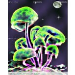 HONGOS LUMINOSOS ,  EN  LA  NOCHE   DE   LUNA