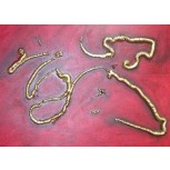 serpiente de oro