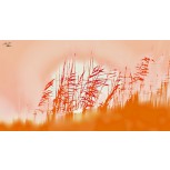 Always in Simmer (III)