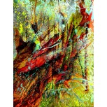 ARBOL 01