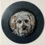 Retrato de Koda