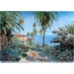 SAN PEDRO  (Tenerife)