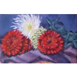Rama de flores