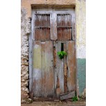 Puerta de Yucatán