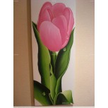 tulipan