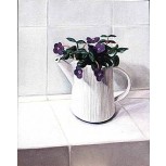 Violetas