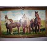 CABALLOS SALVAJES