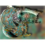 serie Abstracción Turquesa  (05)