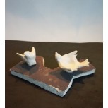 PÁJAROS ANCLADOS