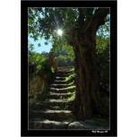 Escalera al Sol
