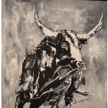Toro VI