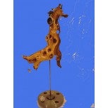 JIRAFRICAMARA