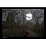Camino a la Luna
