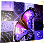 MARIPOSA A PLENO VUELO