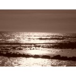 mar de plata8