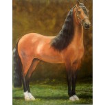 CABALLO DE TROCHA PURA COLOMBIANA 1