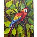 Guacamaya Colombiana