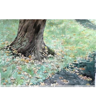 OTOÑO EN IRLANDA