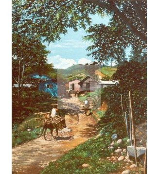 Paisaje de Jamamú, San Josés de las Matas.