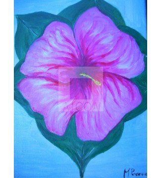 FLOR
