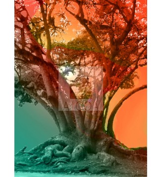 ARBOL 02