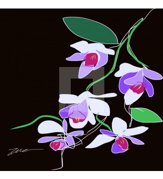 Orquídea #15