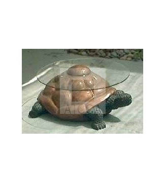 Mesa Tortuga