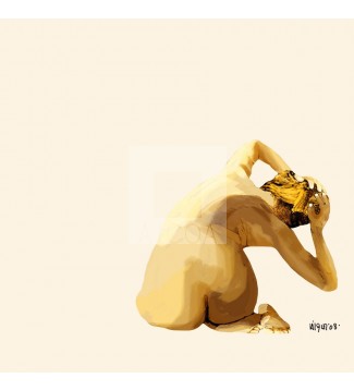 torso 13