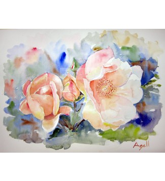 ROSAS SILVESTRES