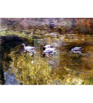 patos del parque maria luisa